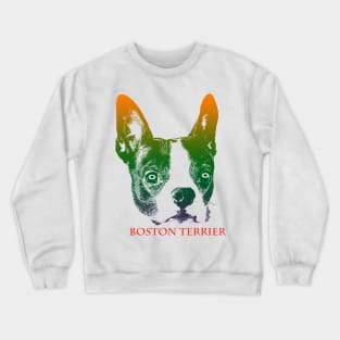 The boston terrier head is Violet, Green, Orange Crewneck Sweatshirt